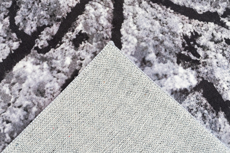 Dywan NOVO Strado nowoczesny pień drzewa do salonu delikatny szary wzór velvet Szary Pień 120x170 cm