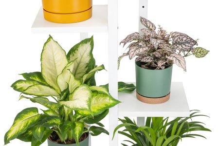 Uniwersalny stojak na kwiaty TOWER – biały, 5-poziomowy kwietnik na 6 doniczek