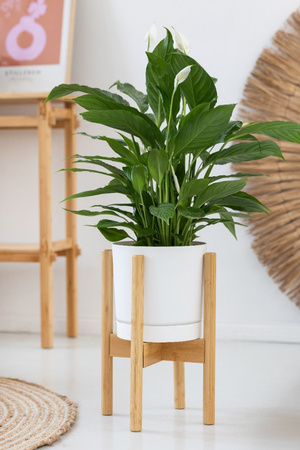 Kwietnik drewniany NEST