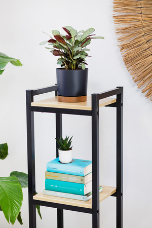 Kwietnik stojący metalowy Vertico 105 cm – czarny stojak na kwiaty