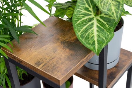 Kwietnik 4-poziomowy PLAZA - Venge