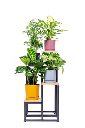 Kwietnik 4-poziomowy PLAZA - Dąb