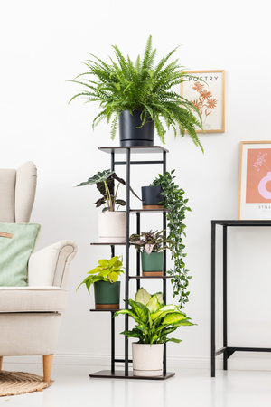 Kwietnik stojący metalowy MONDO – czarny stojak na 7 donic