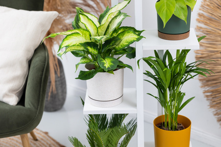 Uniwersalny stojak na kwiaty TOWER – biały, 5-poziomowy kwietnik na 6 doniczek