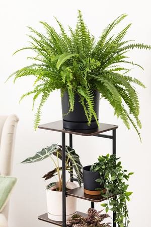 Kwietnik stojący metalowy MONDO – czarny stojak na 7 donic