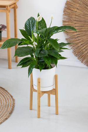 Kwietnik drewniany NEST