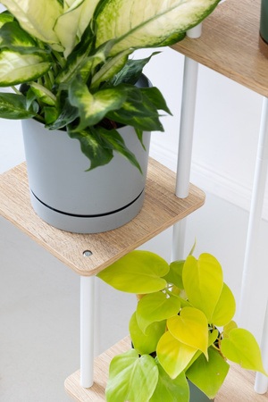 Kwietnik stojący metalowy PALACE – biały stojak na 5 donic