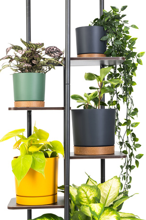 Kwietnik stojący metalowy MONDO – czarny stojak na 7 donic