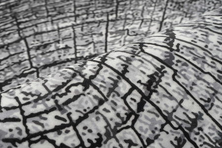 Dywan NOVO Strado nowoczesny pień drzewa do salonu szary wzór Szary Pień 120x120 cm