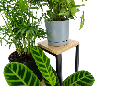 Kwietnik 4-poziomowy PLAZA - Dąb