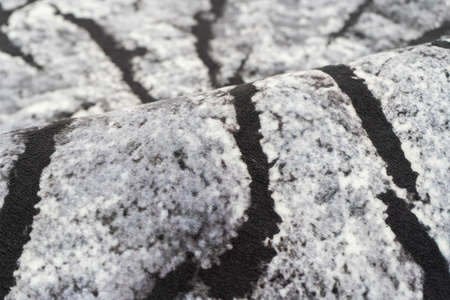 Dywan NOVO Strado nowoczesny pień drzewa do salonu delikatny szary wzór velvet Szary Pień 120x170 cm