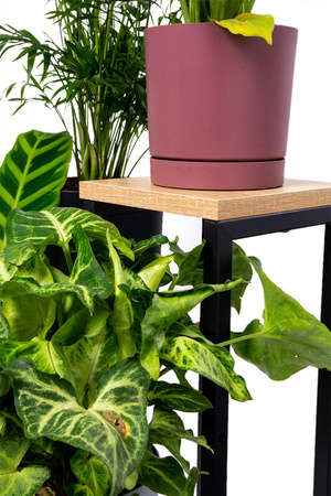 Kwietnik 4-poziomowy PLAZA - Dąb