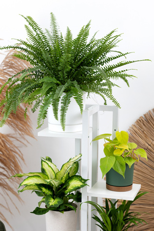 Uniwersalny stojak na kwiaty TOWER – biały, 5-poziomowy kwietnik na 6 doniczek