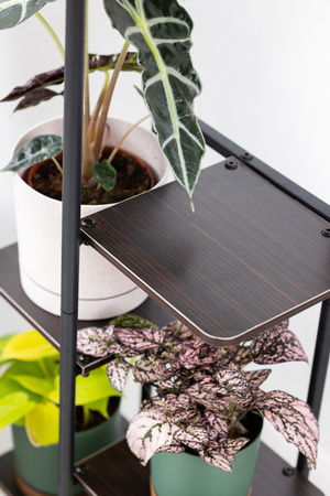 Kwietnik stojący metalowy MONDO – czarny stojak na 7 donic