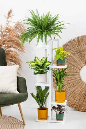 Uniwersalny stojak na kwiaty TOWER – biały, 5-poziomowy kwietnik na 6 doniczek