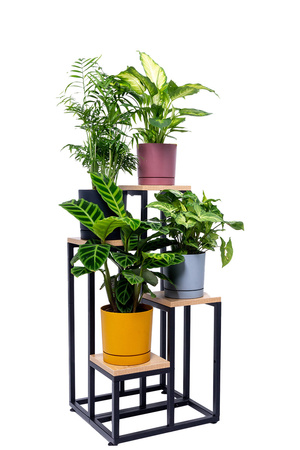 Kwietnik 4-poziomowy PLAZA - Dąb