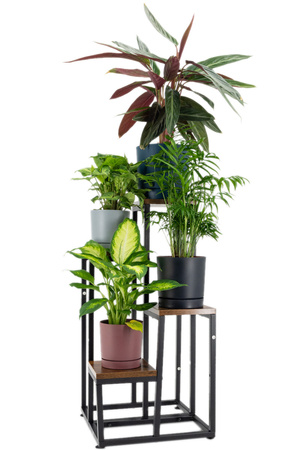 Kwietnik 4-poziomowy PLAZA - Venge