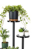 Uniwersalny stojak na kwiaty FINO – czarny, 4-poziomowy kwietnik na 6 doniczek