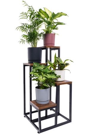 Kwietnik 4-poziomowy PLAZA - Venge