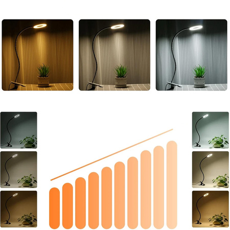 Lampa biurkowa LED z klipsem - DML5 - Black