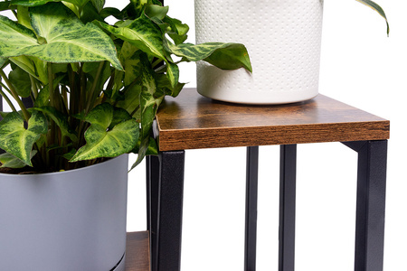 Kwietnik 4-poziomowy PLAZA - Venge