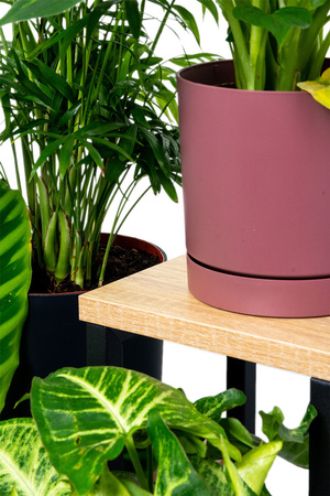 Kwietnik 4-poziomowy PLAZA - Dąb