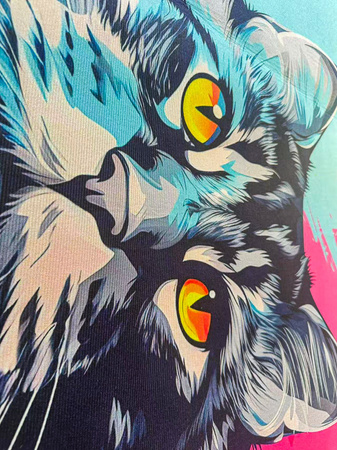 Dywan 3D Strado MainCoon 120x170 cm ze wzorem kota dla milośników zwierząt do salonu i pokoju